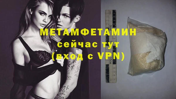 индика Гусев