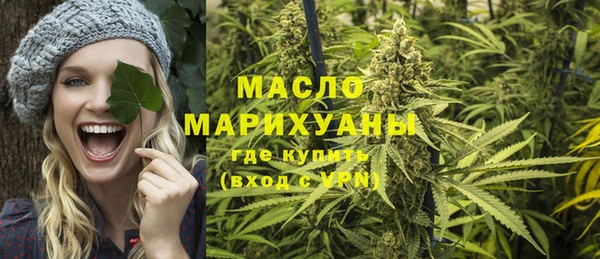 индика Гусев