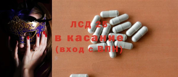 индика Гусев