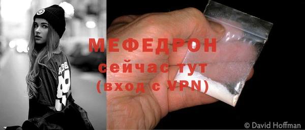 индика Гусев