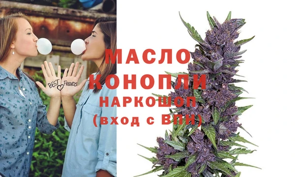 индика Гусев