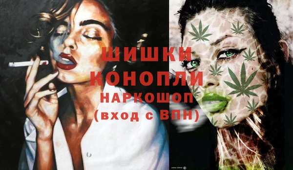 дмт Дмитровск