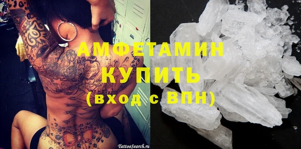 индика Гусев