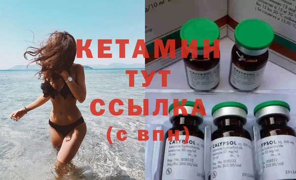 индика Гусев