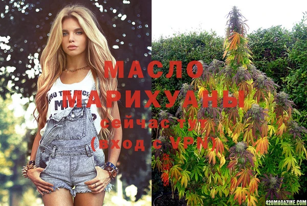 индика Гусев