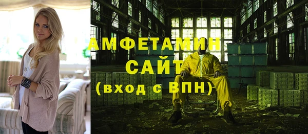 индика Гусев