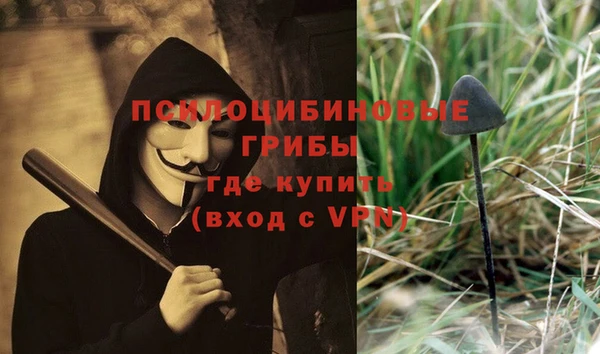 меф Гусь-Хрустальный