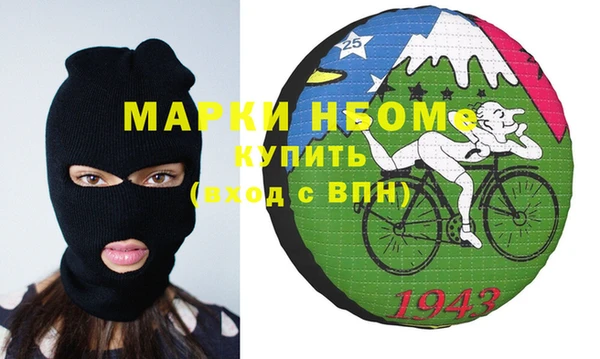 индика Гусев