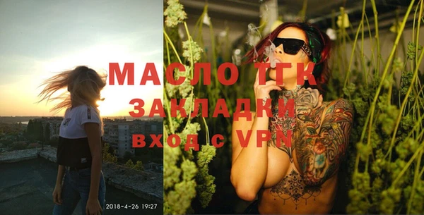 индика Гусев