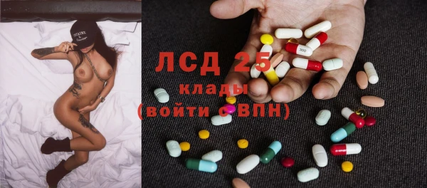 индика Гусев
