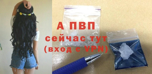 индика Гусев