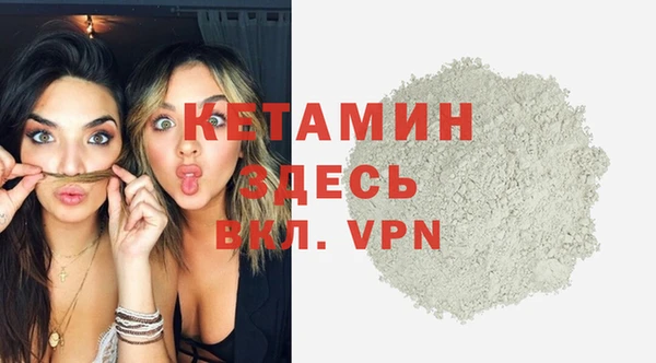 индика Гусев