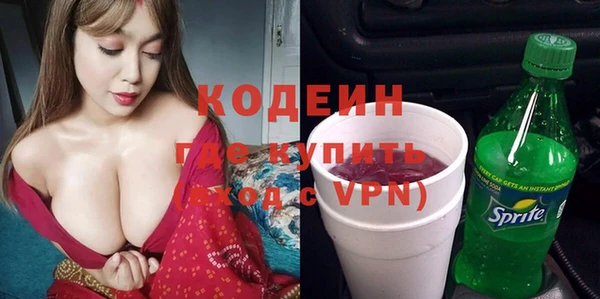 индика Гусев