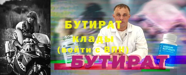 индика Гусев