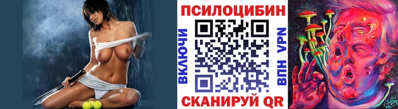 Купить где  Зеленогорск  Псилоцибиновые грибы Magic Shrooms 