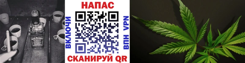 Канабис план  Купить закладки  Зеленогорск 